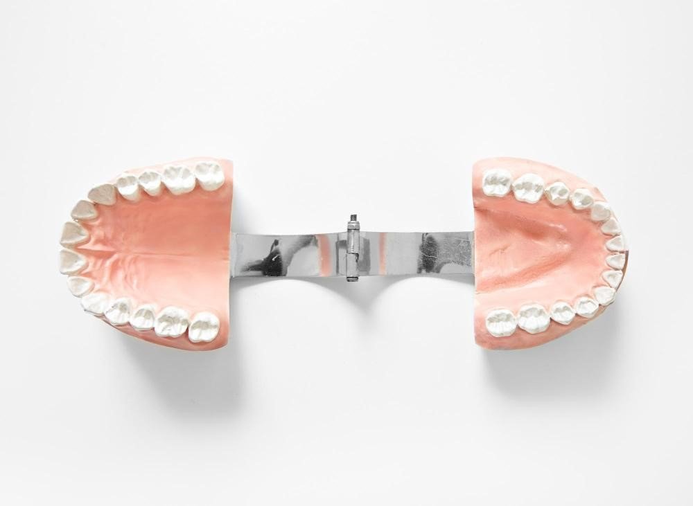 full set of denture in white background